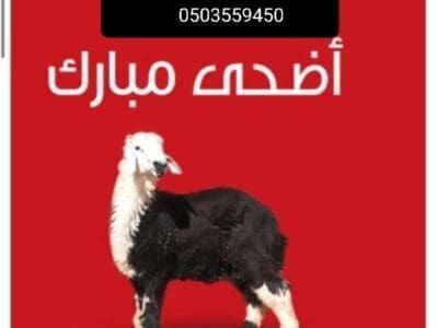 قصاب ماهر بالرياض جزار 0503559450