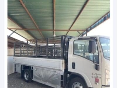 دينا شبك للأجار داخل وخارج المدينة المنورة آجار على حسب المشوار