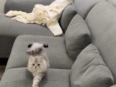 محلات شراء أجهزة كهربائية حي الربيع 0559803796