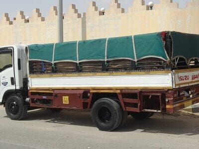 دينا تتخلص من الخرابيط القديم بالرياض 0508857593