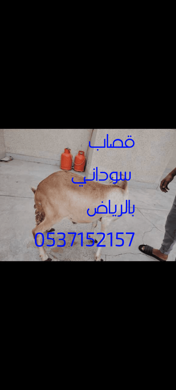 قصاب ماهر بالرياض 0566100646