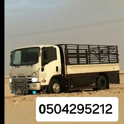 دينا نقل أثاث شرق الرياض