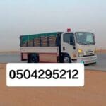 دينا نقل عفش شرق الرياض