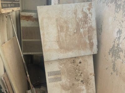 التخلص والطش بالرياض 0551977610