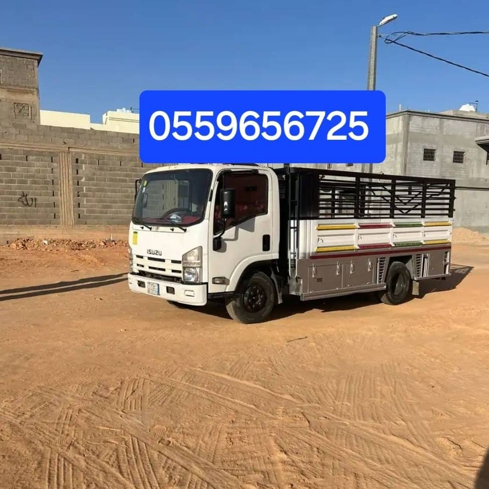 دينا طش الاثاث القديم بالرياض 0559656725