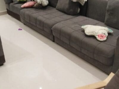 دينا طش الاثاث القديم بالرياض 0559656725