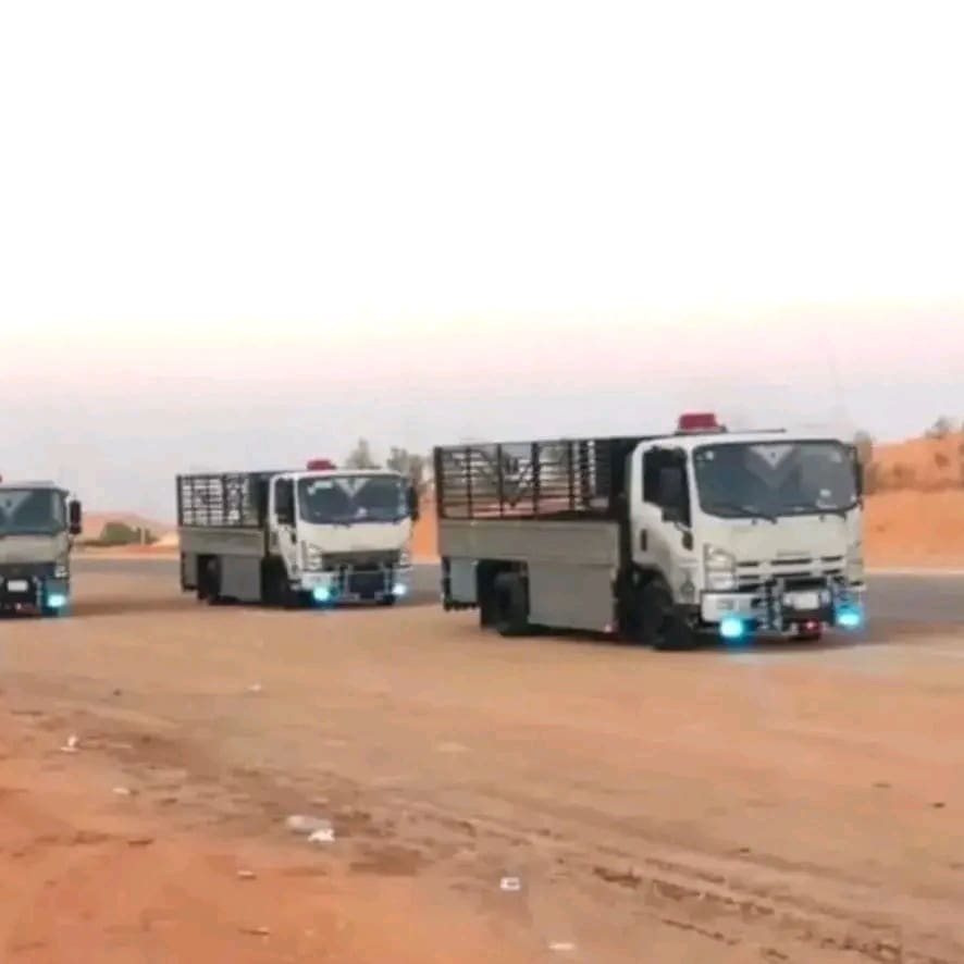 دينا نقل عفش بالرياض