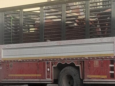 دينا التخلص من الاثاث القديم بالرياض 0َ556053591