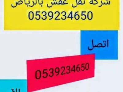 دينا تخليص الاثاث المتهالك