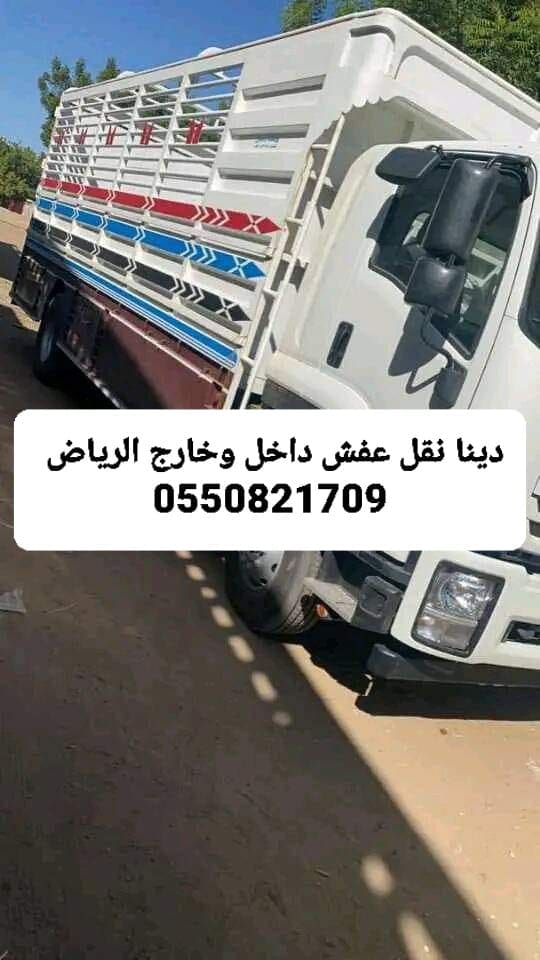دينا نقل عفش بالرياض