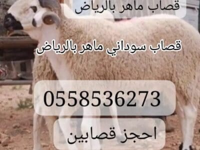 قصاب جزار ماهر سوداني بالرياض 00558536273 جزارين بشمال الرياض