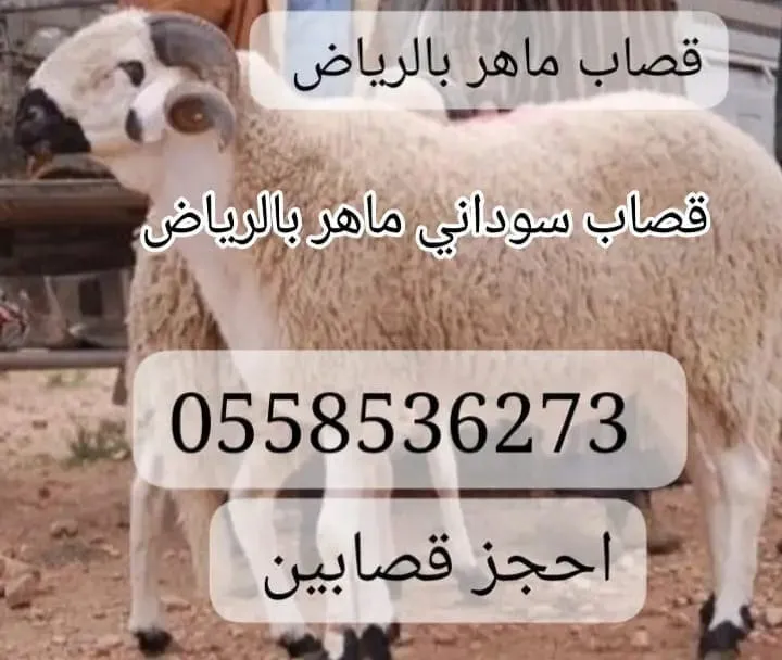 قصاب جزار ماهر سوداني بالرياض 00558536273 جزارين بشمال الرياض