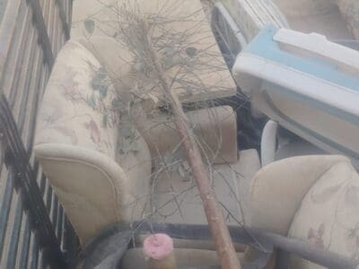 دينا طش اثاث قديم حي الشهداء 0502870954