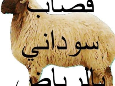 قصاب بالرياض قصاب بالرياض جميع أنحاء الرياض موجودين