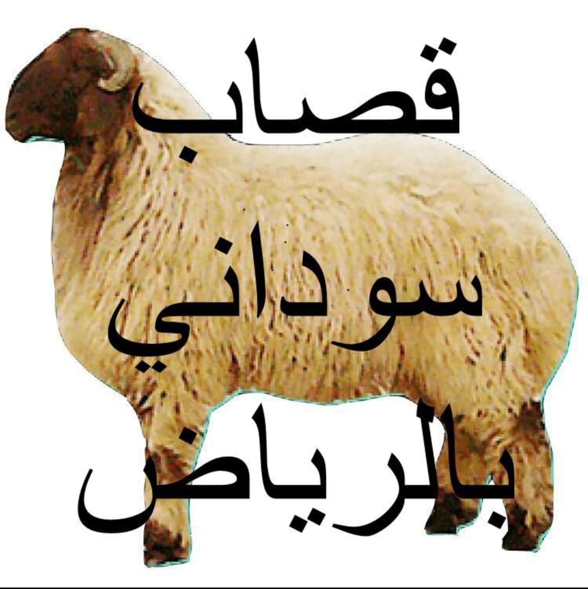 قصاب ماهر حي ظهره لبن 0501178054
