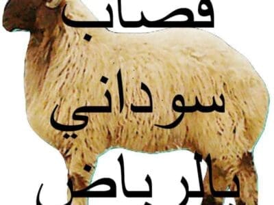 قصاب ماهر حي النرجس 0501178054