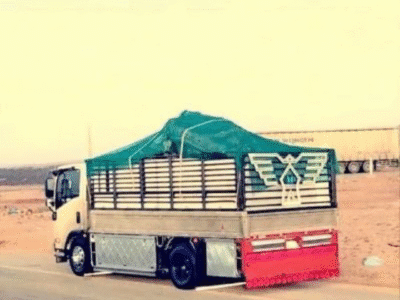 دينانقل العفش بالرياض 0534879954