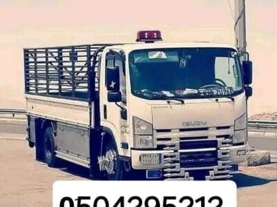 دينا نقل أثاث حي العليا