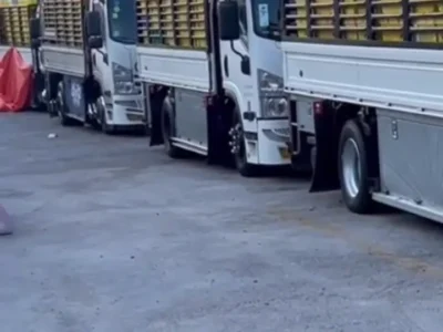 التخلص من الاثاث القيديم حي السلام 0536236502