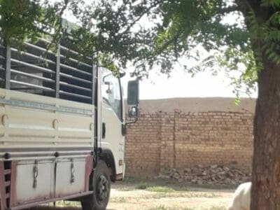 دينا طش اثاث قديم بالرياض 0507236883