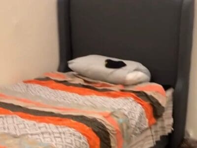 يشيل الأثاث القديم حي المحمدية 0559803796