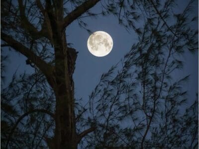 طش اثاث قديم بالرياض0508857593