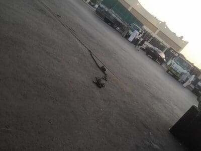 دينا طش الاثاث القديم بالرياض 0559656725