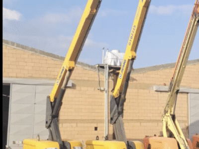 مان لفت للبيع سيزر لفت للبيع