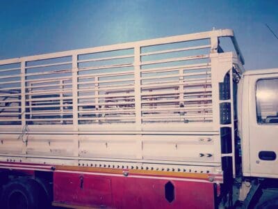 دينا نقل عفش داخل وخارج صبيا 0552800983