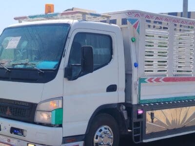 دينا طش الاثاث القديم 0558170736