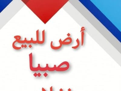 ارص صبيا نخلان بصك للبيع