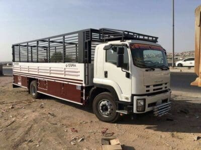 دينا نقل اثاث بالرياض