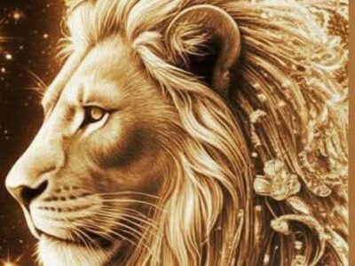 توصيل الاثاث الي الجمعيه الخيرية 0556723860