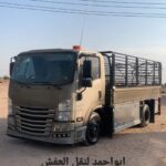 دينا نقل عفش بشمال الرياض 0575907703