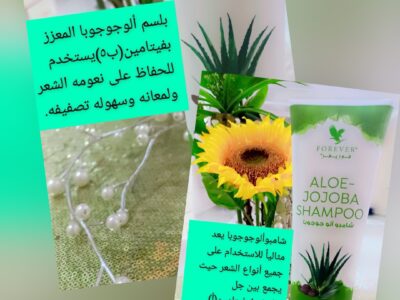 المدينه المنوره