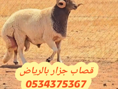 قصاب ماهر بالرياض 0534375367