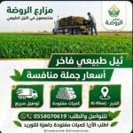 أجود أنواع النجيل الطبيعي “C 2000”