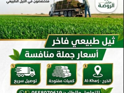 أجود أنواع النجيل الطبيعي “C 2000”