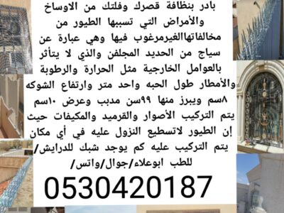 الحل المتميز لإبعاد الطيور